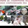 Atelier de restaurare și conservare a monumentelor din piatră, la Sebeș. Se fac înscrieri până în 30 iunie