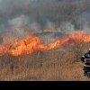 Aproape 50 de hectare de vegetație a luat foc