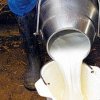 Firmele chineze vor o anchetă cu privire la importurile de lactate din UE