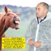Milionarul de la Vanbet și-a găsit nașul! | Un cal năzdrăvan l-a băgat pe Bogos în spital și abia a scăpat cu viață