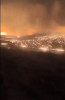 VIDEO. Incendii de proporții în Turcia: Cinci oameni au murit. Sunt zeci de răniți