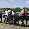 Cai de poveste la Marginea. Concursuri de frumusețe și de putere la ”Târgul de cai” de la Marginea, cel mai mare din Moldova