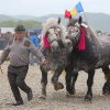Comuna Marginea va găzdui duminica aceasta o nouă ediție a târgului de cai, considerat a fi cel mai mare din Moldova