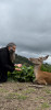 Îmblânzitorul de animale sălbatice de la Mănăstirea Piatra Tăieturii din Panaci de la cota 1.600 m (foto)