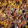 Fotbal - EURO 2024: Suporterii români au rezervate 7.000 de bilete pentru meciul naţionalei cu Olanda