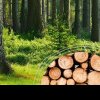 Codul silvic, sistemul Sumal 3.0 și noile reglementări din sectorul forestier, în centrul atenției
