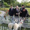Cadouri între dictatori. Kim Jong Un i-a dăruit lui Putin doi câini