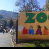 „Ziua Internaţională a Râsului”, organizată la Grădina Zoologică Braşov