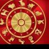 Cele 5 elemente ale zodiacului chinezesc. Află punctele și energiile tare forte, în funcție de zodie
