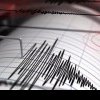 Cutremur în zona Buzău, joi dimineață! Ce magnitudine a avut seismul