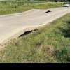 Drumurile groazei. Plăci de beton desprinse, pe o șosea din Gorj. O femeie a zburat cu mașina de pe carosabil