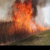 După amiază de coșmar pentru șoferi: DN1, blocat pe sensul de la munte la Bucuresti, din cauza unui incendiu de vegetație
