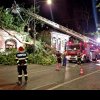 Incident grav, în Dorobanți: un copac s-a prăbușit peste o cofetărie