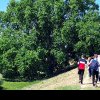Minunea de la Rudna. Copacul din România care se apropie de jumătate de mileniu