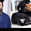 Preotul Matei Vulcănescu, despre proprietarii de animale de companie: „Închinătorii la pisici și câini nu vor moșteni Împărăția Cerurilor!