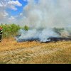 Șapte incendii de vegetație în Giurgiu. Autoritățile au intervenit de urgență
