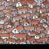 Testul ochilor de șoim: Poți să găsești pisica ascunsă printre casele aglomerate în numai 10 secunde?