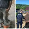 Un cioban din Bacău a fost băgat cu picioarele în găleți cu ciment de patronul unei stâne, nemulţumit de cum erau îngrijite animalele