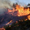 Zeci de pompieri, ajutaţi de 17 avioane de stingere, intervin la un un nou incendiu de vegetatie lângă Atena