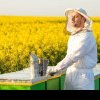 APIA lansează cereri pentru sprijinul apicol