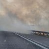 FOTO&VIDEO Un incendiu de vegetație a oprit circulația pe Autostrada Soarelui şi pe calea ferată