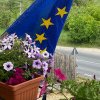 Comuna din România cu nume de flori, e unică și valoroasă. A dat 7 nume mari țării, puțini știau