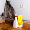 Cum scapi definitiv de mucegaiul din casă cu aceste 6 trucuri simple. Oricine le poate pune în practică