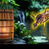 Metoda japoneză prin care scapi de țânțari și muște pentru totdeauna. Nu vei mai vedea niciodată vreo insectă în camera ta