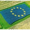 Documentul privind viitorul PAC, blocat de România
