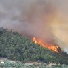 Un foc de artificii a declanșat un incendiu de pădure în Grecia
