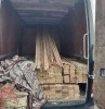 Cum se mânărește în SUMAL lemnul tăiat ilegal! Administratorul unei firme și un șofer, condamnați pentru fals informatic