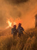 FOTO| 6 ore de luptă cu focul pentru pompierii din Câmpeni, Gârda și Arieșeni