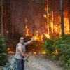 Cum luptă Europa cu incendiile de păduri. Care este abordarea corectă - stingere sau prevenire? (analiză DW)