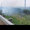 Trafic blocat pe autostrada A2 Bucureşti-Constanţa, pe ambele sensuri, din cauza unui incendiu de vegetaţie. Circulația a fost deviată