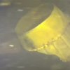 VIDEO Imagini subacvatice: Epava unui avion dispărut acum 50 de ani a fost găsită într-un lac din SUA