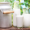 Consiliul Concurenței a descins cu inspecții inopinate la întreprinderile care cumpără lapte crud de vacă: Ce investighează