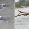 Doi bărbaţi, luaţi de ape în timp ce încercau să traverseze un râu din Padova: Unul dintre ei s-a agăţat de un copac în ultimul moment