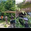 (foto) Situație de forță majoră în Chișinău, după intemperiile de ieri: Copaci căzuți peste case, magazine și mașini, cabluri rupte și drumuri blocate