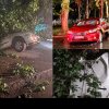(foto/video) A „plouat” cu arbori, în capitală: Zeci de mașini, avariate sau chiar distruse de crengile căzute