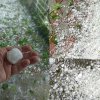 (foto/video) S-a rupt cerul la Nisporeni: Grindina cât un ou de porumbel a făcut prăpăd în mai mute localități