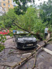 (galerie foto) Dezastrul de după furtună: Două mașini, avariate de arborii rupți de vânt. Serviciile municipale, în teren