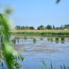 Scade nivelul apei în Nistru și Prut: Populația și agenții economici, rugați să consume rațional resursele de apă