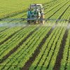 Sub 2% de ,,verde”: De ce agricultura ecologică rămâne neatractivă pentru fermierii moldoveni