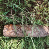 Un obuz din perioada celui de-al Doilea Război Mondial, descoperit la Edineț: Zona a fost securizată, iar la fața locului au intervenit geniștii