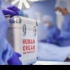 Minuni de Rusalii: Un înger donator, o armată de medici și șapte vieți salvate prin transplant