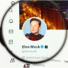 Elon Musk renunță în mod neașteptat la dosarul împotriva OpenAI