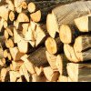 Gorj: Polițiștii au confiscat sute de metri cubi de lemn de la un depozit din Bengești-Ciocadia