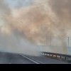 Incendiu de vegetaţie în apropiere de Autostrada Soarelui. Traficul a fost deviat