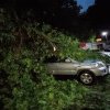 Vremea a făcut ravagii în mai multe județe din țară: copaci căzuți pe drumuri, case inundate și localități fără curent