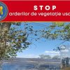 APEL ISU Argeș către populație: STOP arderilor de vegetație